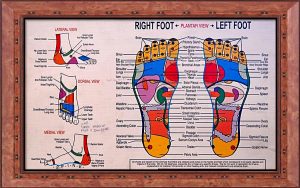 Mappa Reflessologica del piede